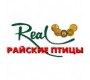 Real «Райские Птицы»
